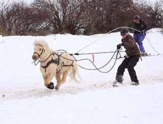  Introduction to skijoring for children 